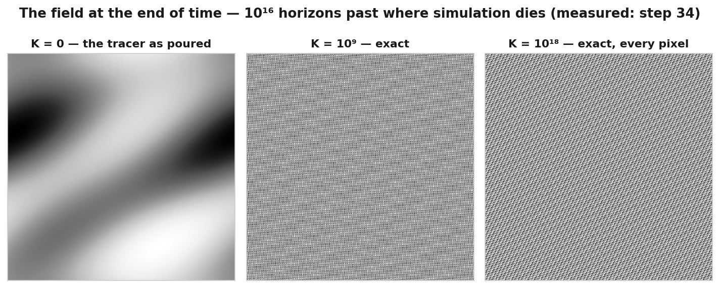 Three grayscale panels of the same tracer field. Left: K equals zero, the tracer as poured — large smooth blobs. Middle: K equals 10 to the 9th, exact — a fine woven texture. Right: K equals 10 to the 18th, exact, every pixel — fine diagonal striations. The title reads: the field at the end of time, 10 to the 16th horizons past where simulation dies, measured at step 34.